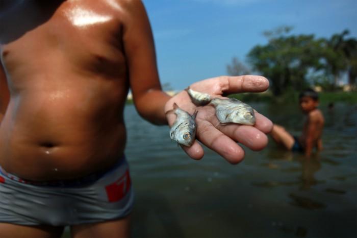 Se registra mortandad de peces en laguna de Puente Moreno