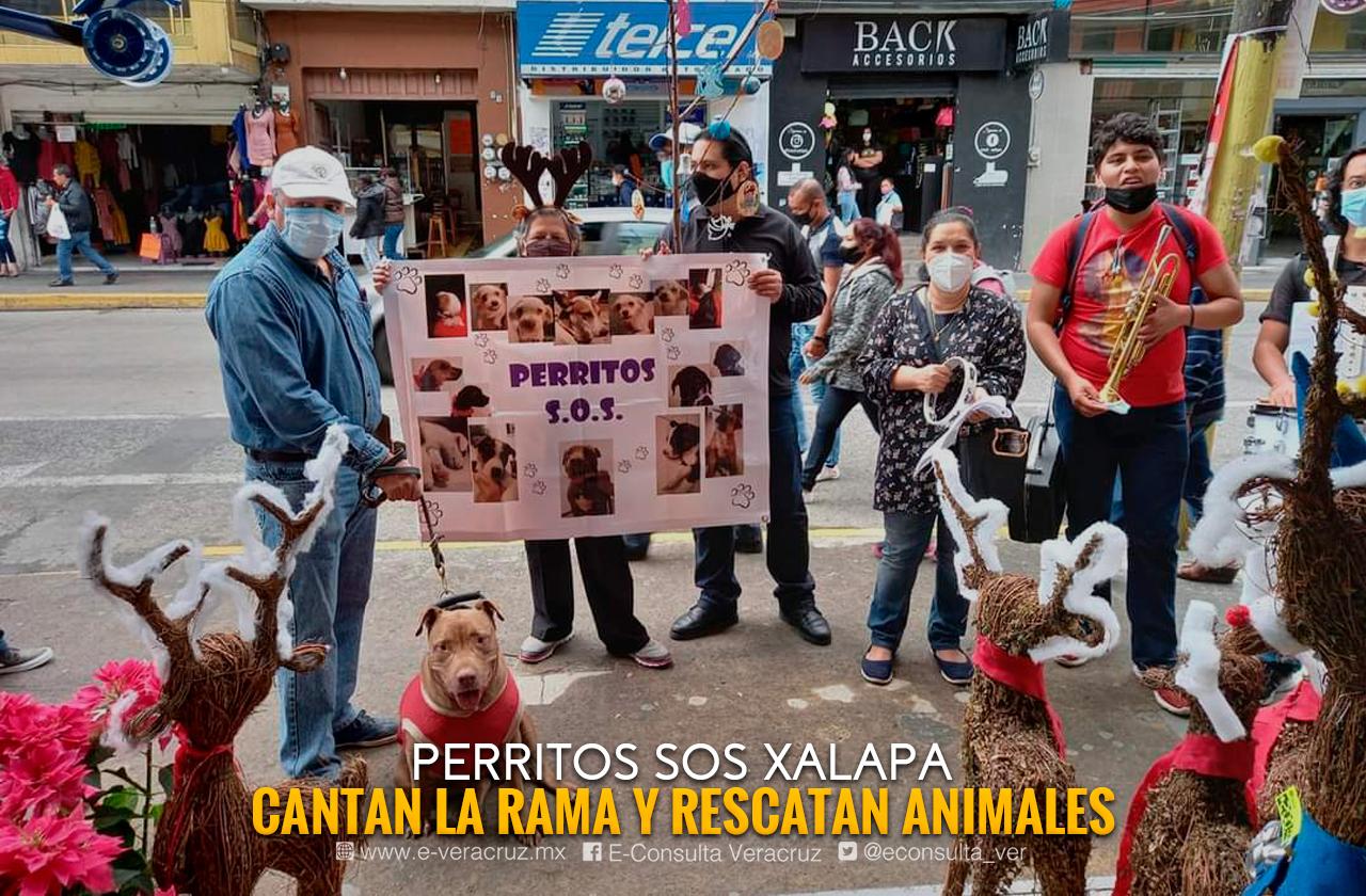 Cantando La Rama, salvan perritos y preservan tradición en Xalapa