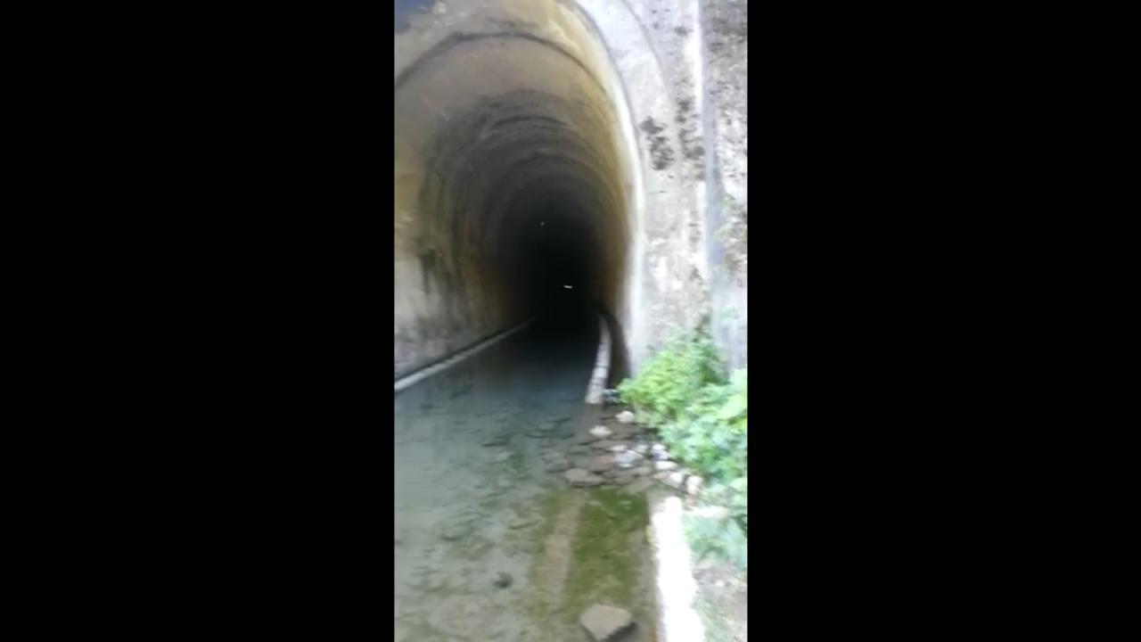 Detectan canto fantasmal en túnel