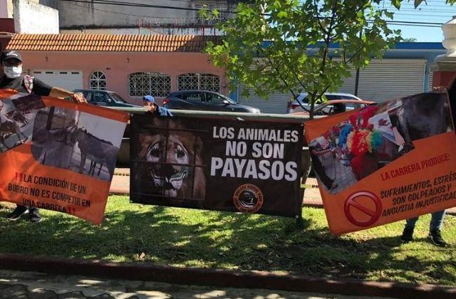 Activistas protestan previo a carrera de burros en Orizaba