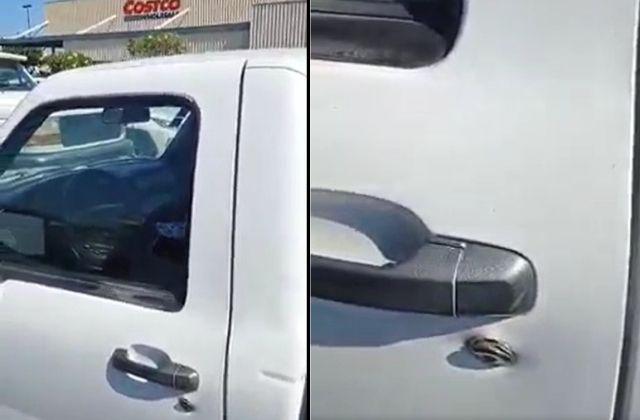 VIDEO: Así intentan robar vehículo en estacionamiento de Costco de Boca