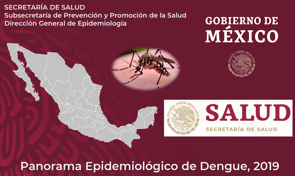 Veracruz, primer lugar nacional en casos de dengue 