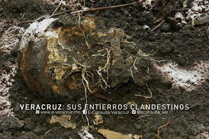 El horror en Veracruz: 10 cementerios clandestinos, 572 cuerpos