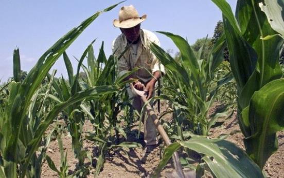 Extinción de Financiera Rural desampara a campesinos: Barzón Xalapa
