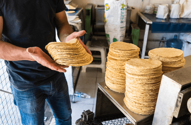 Precio de tortilla subirá en Xalapa. ¿Cuánto y cuándo? Aquí te decimos