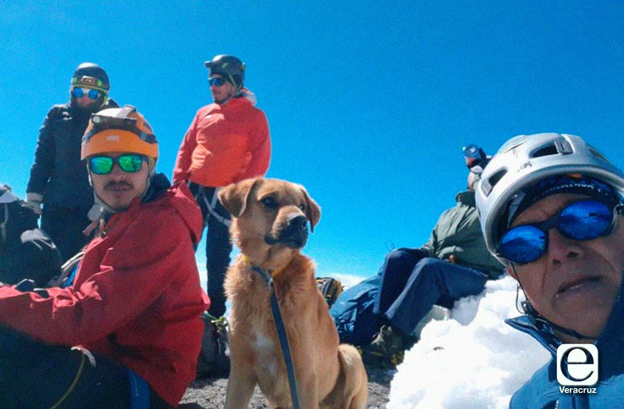 Rescatan a Canelo, el perrito ‘montañista’ del Pico de Orizaba 