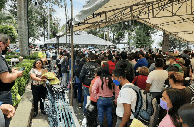 Así van los resultados de los consejeros de Morena en Veracruz