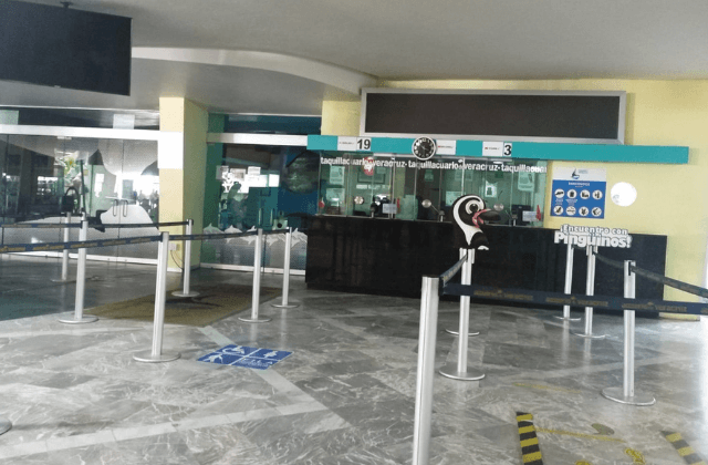 PMA retira sellos de clausura en Acuario de Veracruz