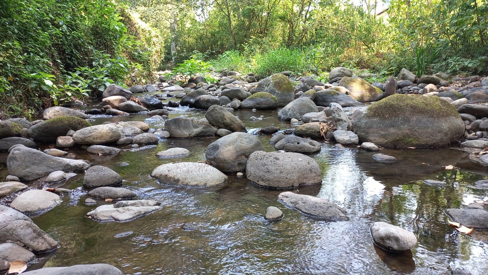 Por contaminación, analizarán río La Antigua en región de Xalapa