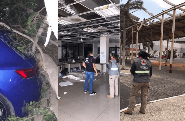Saldo FF35: árboles caídos, apagones y daños en edificios de Veracruz