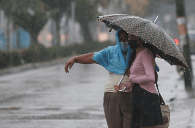 ¿Seguirán las lluvias en Veracruz? Esto dice el pronóstico