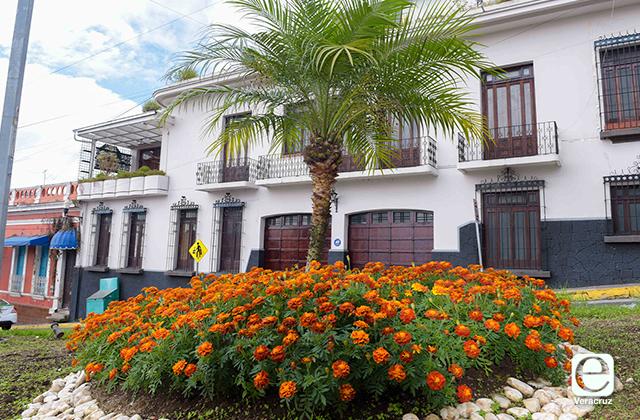 Habrá más de 13 mil flores de cempasúchil en Xalapa