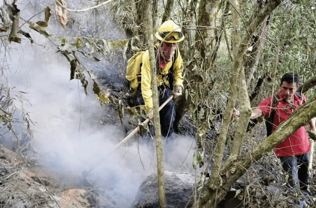 Siguen activos 4 incendios forestales en Veracruz