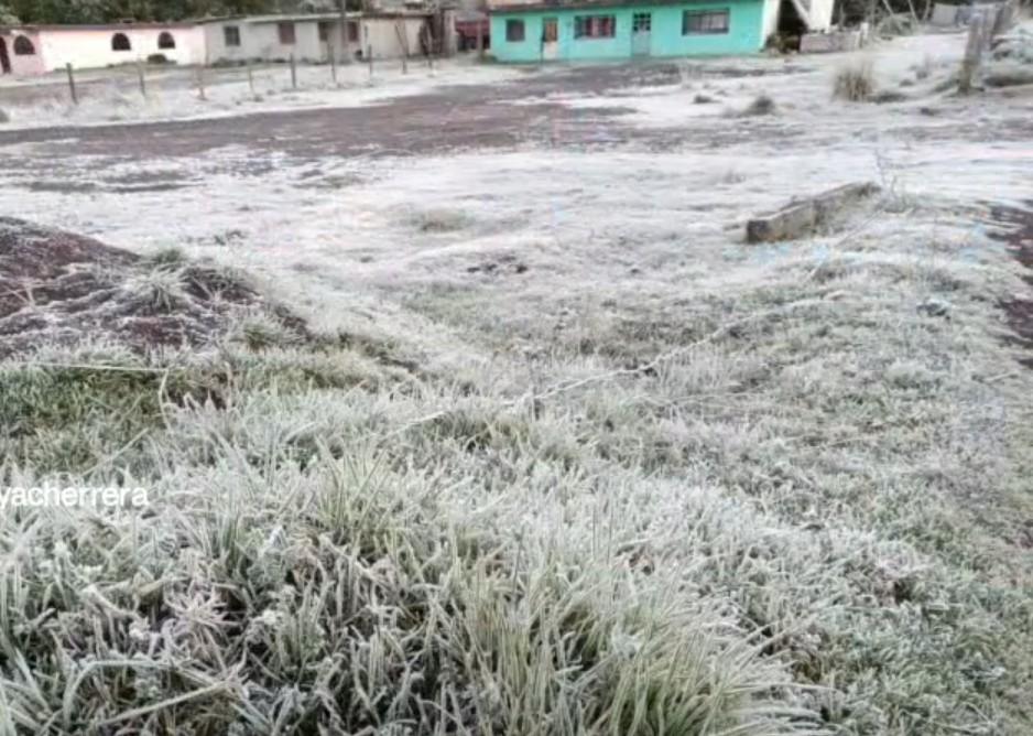 Galería | Así fueron las primeras heladas en municipios de Veracruz