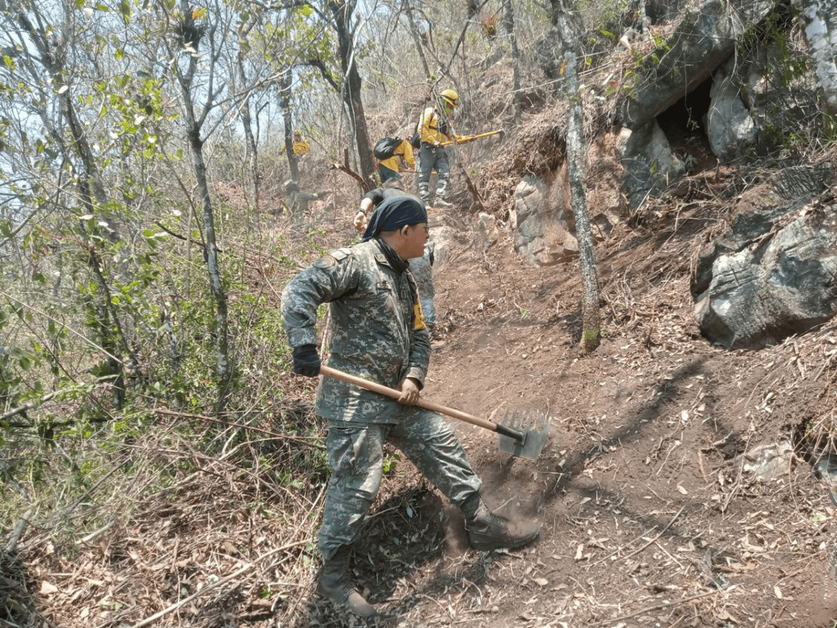 Incendios en Las Altas Montañas: Cool Planet abre centro de acopio