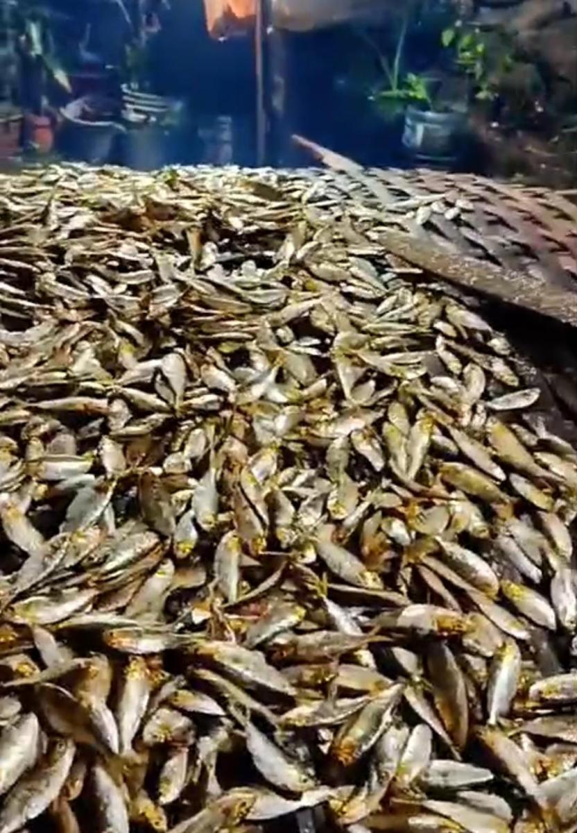 Catemaco huele a leña y pescado: inicia temporada del topote