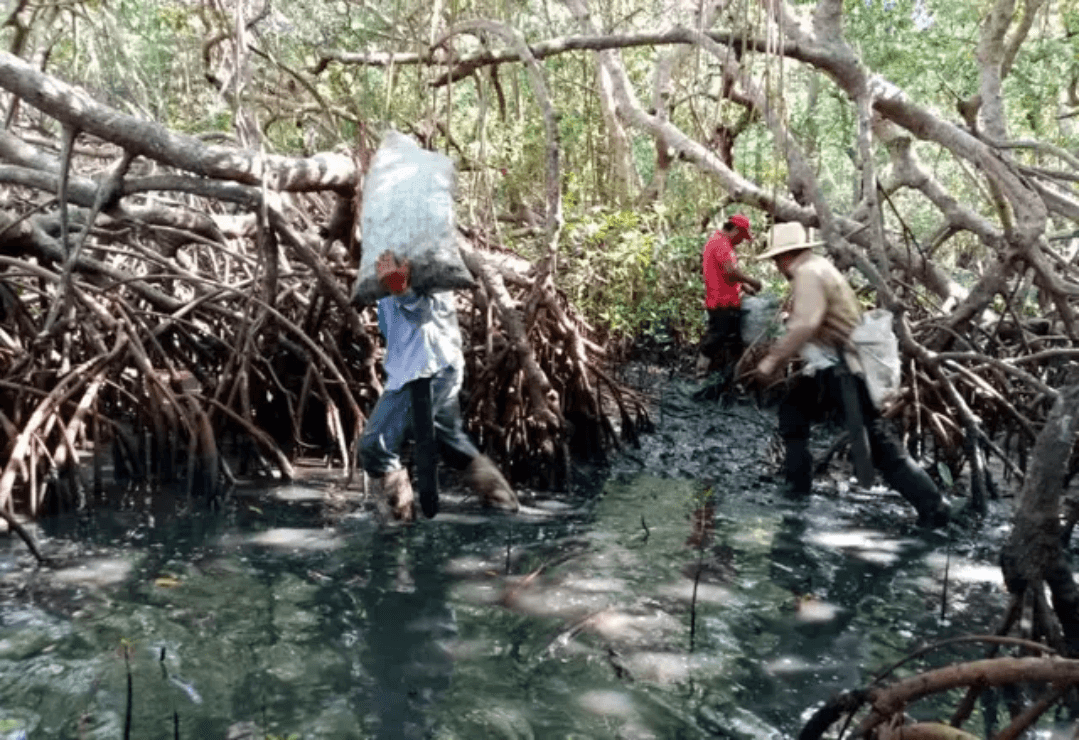 Sin control derrame de hidrocarburo en costas de Veracruz: Greenpeace