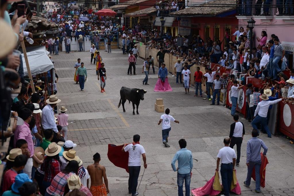 Detención por corridas de toros es distractor para nombrar fiscal, acusan