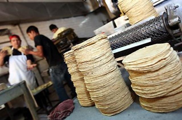 Tras aumento, entérate de nuevos precios de la tortilla en Veracruz