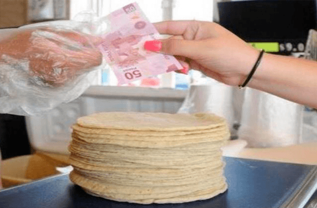 ¿Un taquito? Precio de tortilla subirá en Xalapa
