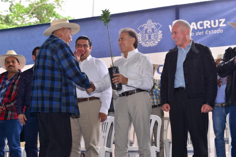"Todo el apoyo de mi gobierno a la actividad citrícola": Gobernador Yunes