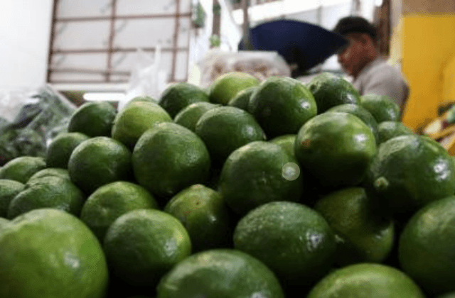 Veracruz, segundo lugar a nivel nacional en producción de limón