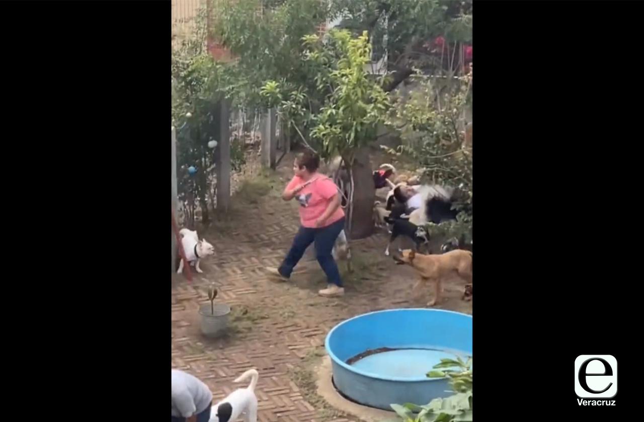 Vídeo | Denuncian maltrato animal en guardería canina de Veracruz 