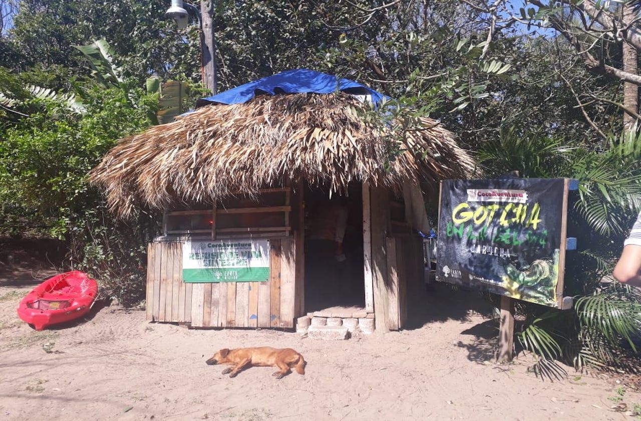 Earth Mission combate mercado negro con rescate de fauna silvestre en Veracruz