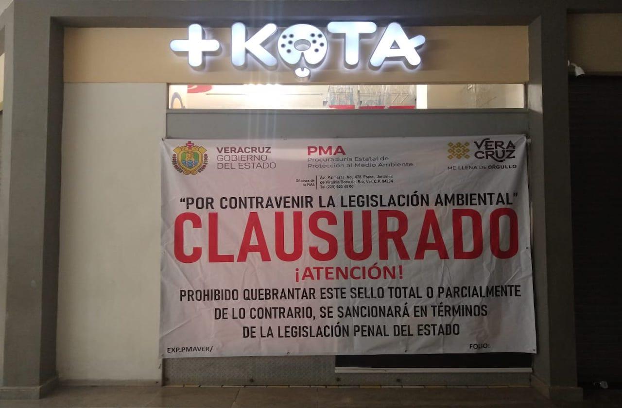 Por maltrato animal, clausuran tienda +Kota en Boca del Río