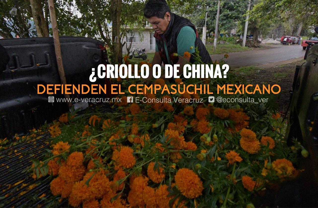 Campesinos de Veracruz resisten a venta de cempasúchil chino