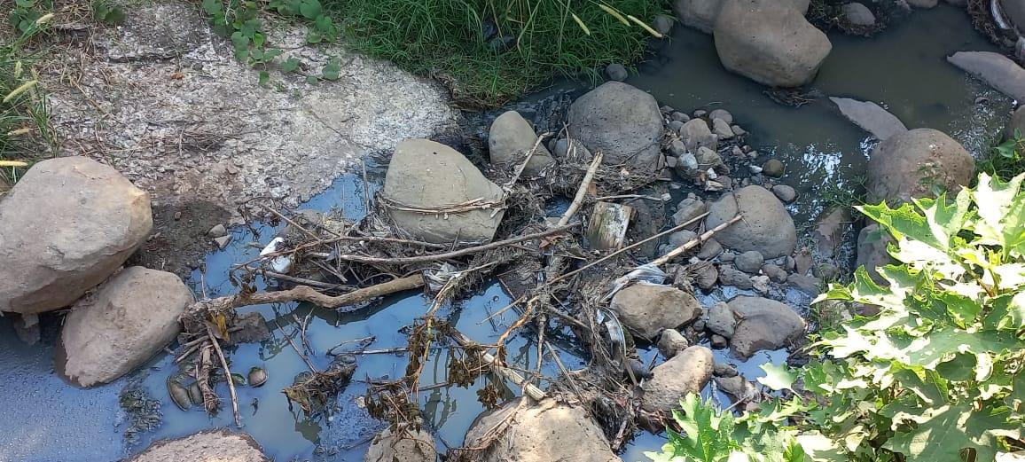Ríos de Xalapa agonizan por aguas residuales: Global Water Watch México