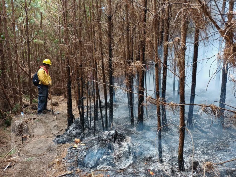 Incendio forestal en Xico: Pobladores se suman para apagar fuego