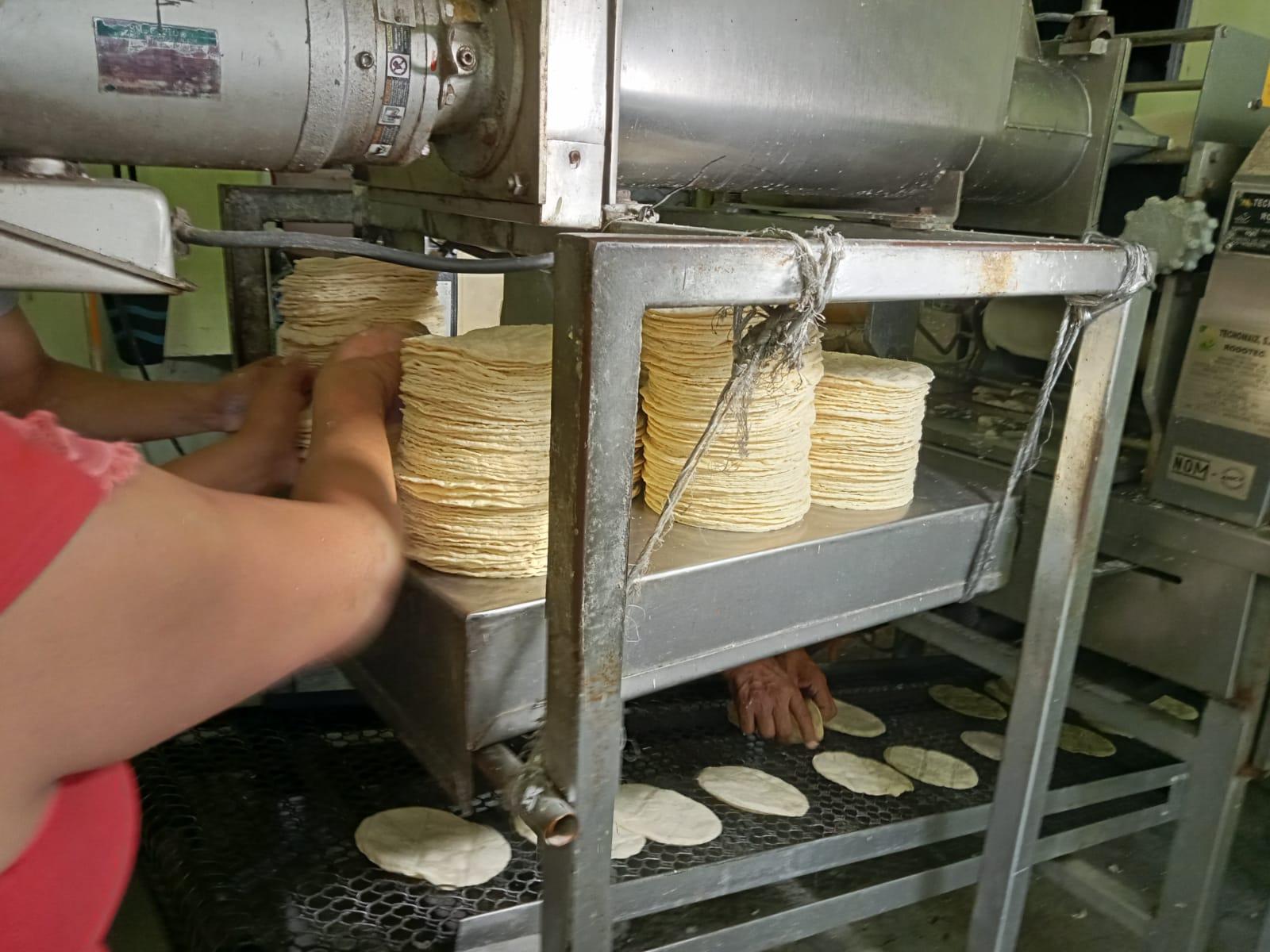 ¡Que no se te pase! Este miércoles sube precio de la tortilla en Veracruz