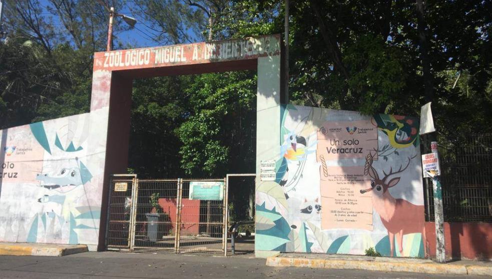Gobierno de Yunes suma 77 muertes en Zoológico de Veracruz