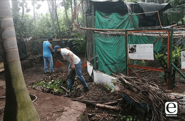 Jarochos limpian zoológico de Veracruz, tras exhibir abandono